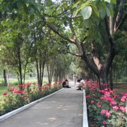 山西醫(yī)科大學晉祠學院