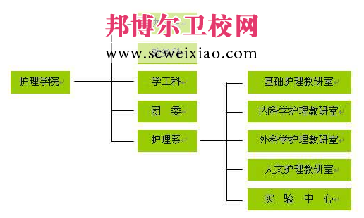 井岡山大學(xué)護(hù)理學(xué)院機(jī)構(gòu)設(shè)置