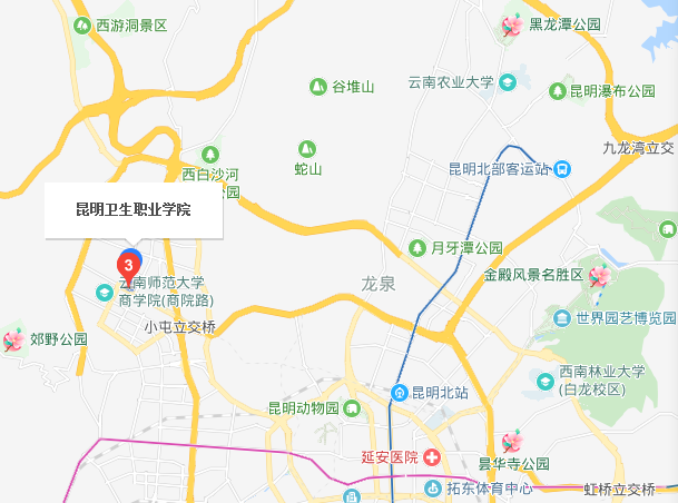 昆明衛(wèi)生職業(yè)學院2019年地址在哪里