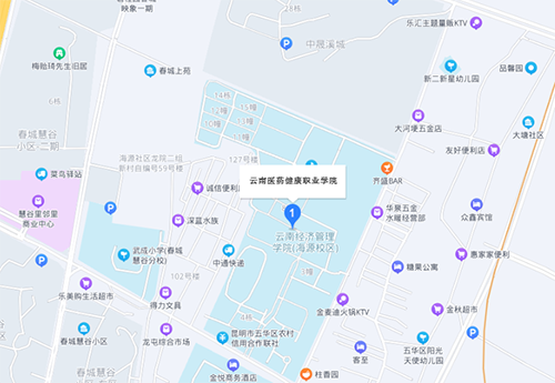 云南醫(yī)藥健康職業(yè)學院地址在哪里