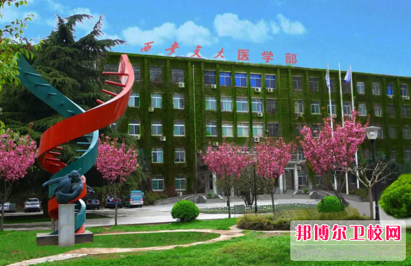 2023西安交通大學醫(yī)學院有哪些專業(yè) 西安交通大學醫(yī)學院開設的專業(yè)一覽表