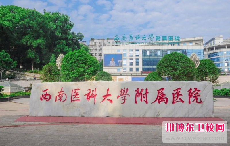 2024西南醫(yī)科大學附屬醫(yī)院衛(wèi)生學校有哪些專業(yè) 西南醫(yī)科大學附屬醫(yī)院衛(wèi)生學校開設(shè)的專業(yè)一覽表