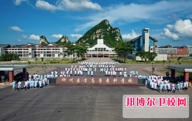 2023柳州助產(chǎn)護理學校有哪些 柳州助產(chǎn)護理學校名單一覽表