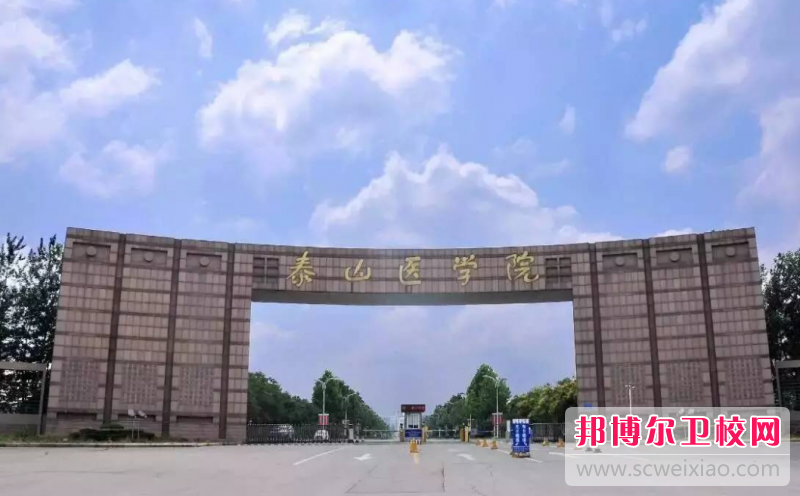 2023泰安公辦臨床醫(yī)學學校有哪些 泰安公辦臨床醫(yī)學學校名單一覽表