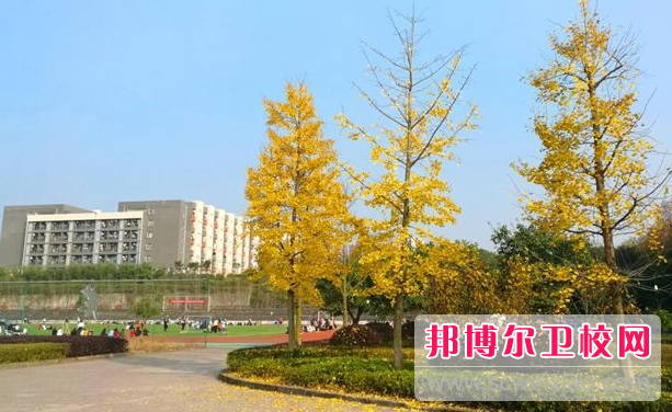 四川2023年有哪些護理學校就業(yè)好